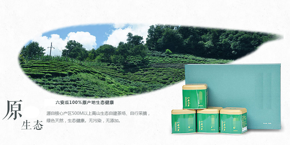 幻灯6