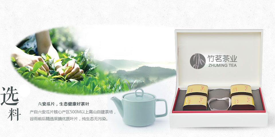 幻灯8